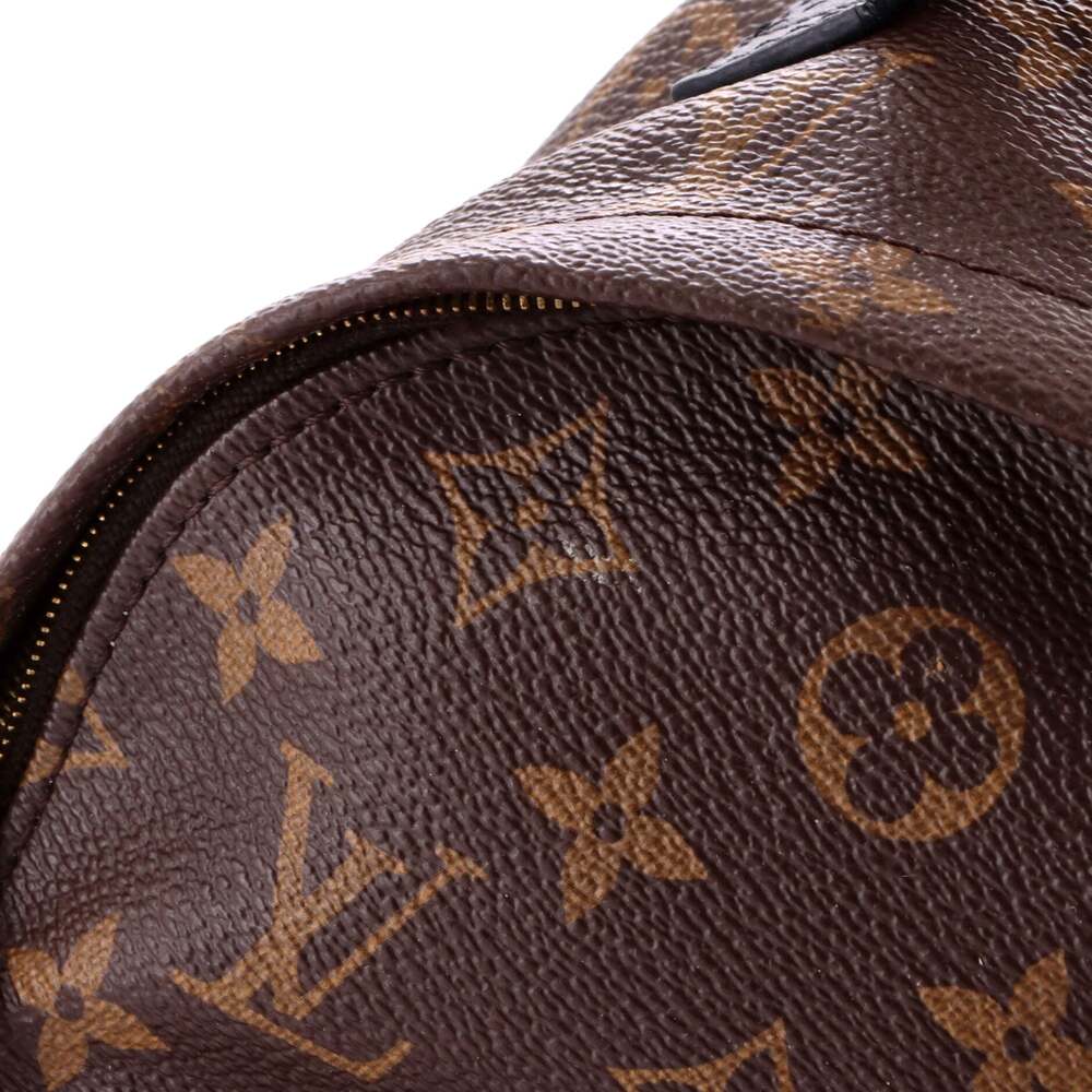 Louis Vuitton Palm Springs Backpack #224316L22B - Picture 6 of 8